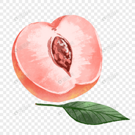 舌吻视频下载官方版APP应用